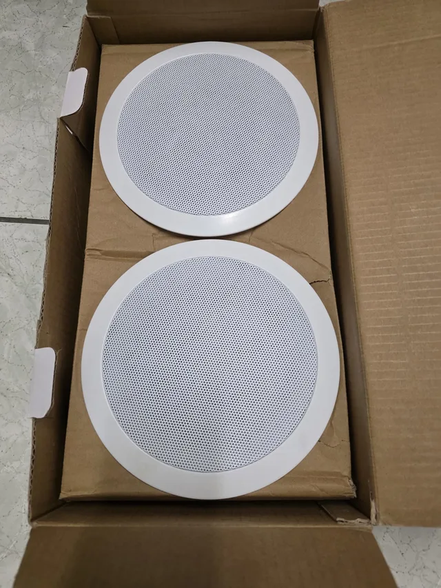 Bocinas de techo